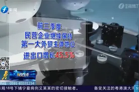 福建省外贸进出口规模持续增长，民营企业继续保持主体地位视频封面