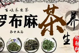 养生茶第十五篇 罗布麻茶 有平抑肝阳，清热利尿，降血压等作用
