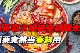 罂粟火锅又被央视曝光，商家竟然做出了毒火锅，还把罂粟当香料用视频封面