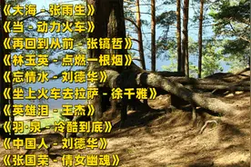 分享好听老歌10首《大海 - 张雨生》+《当 - 动力火车》等视频封面