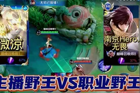 霸榜巅峰第一的野王微凉撞到职业打野无畏，主播和职业的顶级对决视频封面