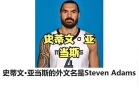 史蒂文·亚当斯视频封面