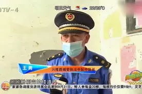 夫妻二人楼道里喷涂广告被抓个正着，城管放话：谁张贴谁清理！视频封面
