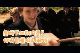 哈利波特：搞笑解说 詹姆不如斯内普 你没看懂哈利波特视频封面