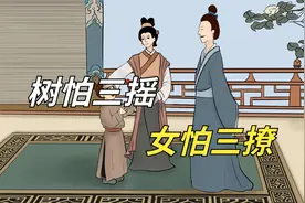 俗语：“树怕三摇，女怕三撩。”是什么意思？蕴含着做人的道理！视频封面