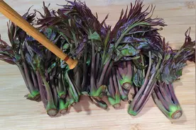 香椿不管怎样吃，这一步不能少，教你安全食用，做对了营养又健康视频封面