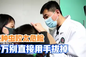 蜱虫叮咬2岁男孩后脑勺，吸血5天，体型暴涨几十倍视频封面