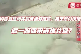 抖音直播间买鹅绒被有猫腻，男子怒讨说法！假一赔四承诺难兑现？视频封面