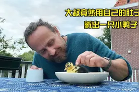 历经29天14个小时，大叔终于用自己的肚子将鸭蛋成功孵化！视频封面
