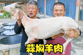 叔叔送来一只家养山羊，阿胖山做蒜焖羊肉，一口蒜一口肉，真香视频封面