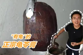 汕头农村熬制正宗龟苓膏，20味中药2龟壳熬5小时，尝一口就知是宝视频封面