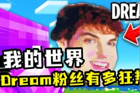 我的世界：Dream狂热粉丝像素画还原盛世美颜？挖方块挖了半个月