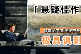 这是一部极具讽刺意味的悬疑电影，导演杀青后直接被带走视频封面