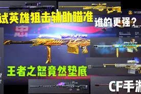 英雄级狙击辅助瞄准大比拼，王者之怒成绩垫底视频封面