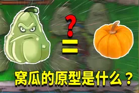 植物大战僵尸：窝瓜的原型是南瓜嘛？不仅你想不到，而且很好吃