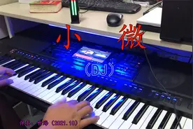 电子琴《小微DJ版》视频封面