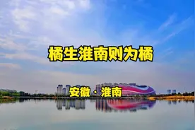 第130集|安徽淮南，房价最低市，从特大城市沦为四线，但依旧伟大视频封面