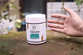 养花生根太慢怎么办？园艺师教你，用快速生根粉，扦插生根更快速视频封面