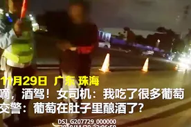 嘀，酒驾！女司机：我吃了很多葡萄  交警：葡萄在肚子里酿酒了？视频封面