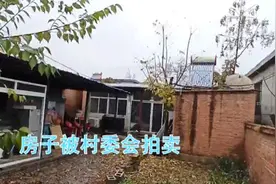 哥哥遗产 为何村委会公开拍卖？赠与协议满足哪些条件才有效？视频封面
