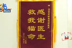 第三针疫苗“变脸”  点评引发了辱骂？视频封面
