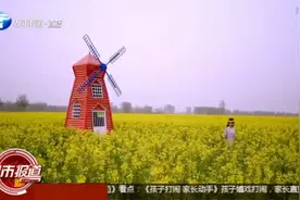 郑州黄河岸边：3万亩油菜花金灿灿真美！带家人赏网红打卡圣地视频封面