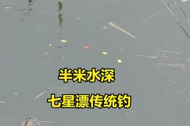 水深半米玩传统钓，七星漂下钩就顶漂，鲫鱼有连竿了视频封面