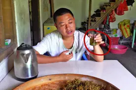 炒好的金银花出箱，小邓拿来这样兑茶泡着喝，香飘四溢，太过瘾了视频封面