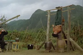 醉拳：一部经典武打老电影，硬桥硬马的真功夫，重温经典就是过瘾视频封面
