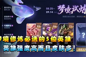 王者搞笑：梦境修炼必选的5位英雄，强度高皮肤多，选到就赚了！视频封面