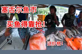 塞舌尔是非洲最小，GDP最高的国家！流量贵到离谱，贫民区惊呆了视频封面