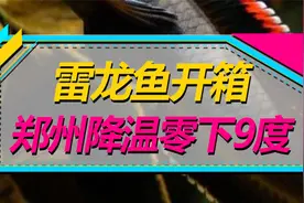 雷龙鱼开箱！额！我可能不适合养雷龙！视频封面