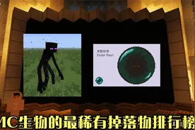 MC生物的最稀有掉落物排行榜!