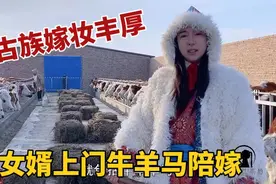 蒙古族小情侣谈婚论嫁：牧区结婚陪嫁多少钱？100万牛羊全是嫁妆视频封面