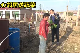 刘四和邻居聊天，热心邻居送蔬菜，刘四受到启发准备干啥?视频封面