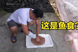 鱼食原来可以这样制作，方法超级简单，网友：难怪捕那么多鱼呢视频封面