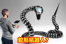 蛇形机器人？最有趣奇妙的仿生动物机器人视频封面