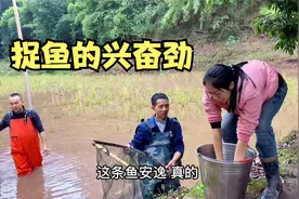 老公放下狠话捉鱼，过程是让我又惊又喜，没想到还是？视频封面