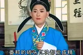 庐剧：父是英雄儿好汉代代有人，灭番邦武艺好我报效朝廷视频封面
