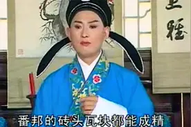 庐剧：父是英雄儿好汉代代有人，灭番邦武艺好我报效朝廷视频封面