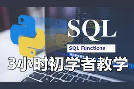 【数据库】SQL 3小时初学者教程  #SQL教程 #MySQL教程 #database视频封面
