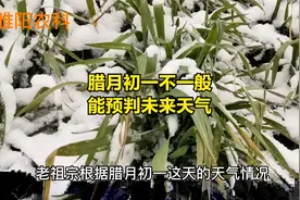 腊月初一不一般，许多农谚能判断未来的天气，还能指导农业生产视频封面