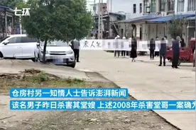 河南信阳发生一凶杀案，村民：男子杀害其堂嫂，14年前杀害堂哥视频封面