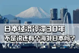 日本经济停滞30年，不是说有海外日本吗？资产规模却比你想象的小视频封面