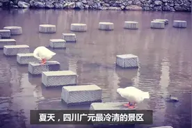 广元最冷清的景点，盛夏时节不见一个游客，很漂亮可惜没人来！视频封面