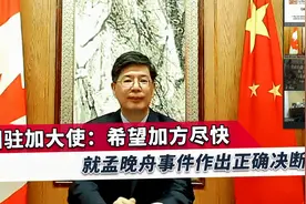 我大使：中国同世界经济的联系会更加紧密，中加经贸将迎来新机遇视频封面