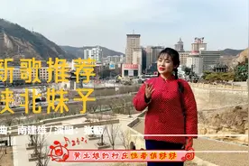 陕北新民歌《陕北妹子》演唱：张丽视频封面