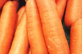每个皮肤干燥的人，都该多吃这5类“补水食物”视频封面