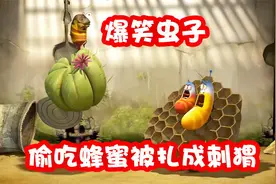 爆笑虫子：虫虫费尽心机偷吃蜂蜜，不仅做了按摩还被扎成刺猬视频封面