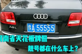 河南省天花板牌照，十副车牌价值2464万，靓号牌照都在什么车上？视频封面